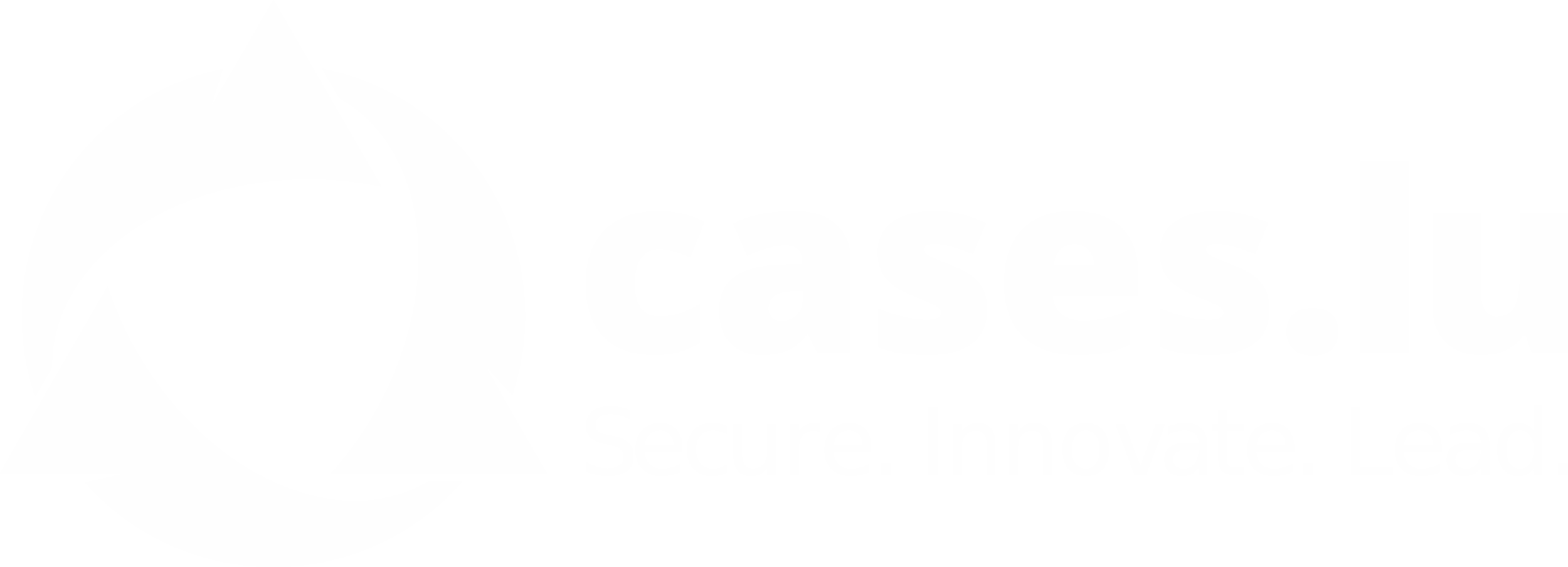 A service provided by CASES.LU